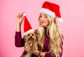 Celebrate christmas with pets. Reason love christmas with pets. Have fun. Pet safety during christmas. Woman and Royalty Free Stock Photo