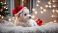 celebrate cute dog wearing santa hat funny looking beautiful fur