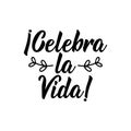 Celebrate life - in Spanish. Lettering. Ink illustration. Modern brush calligraphy