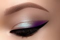 Celebrate Macro Eyes with Smoky Cat Eye Makeup. Cosmetics and Make-up. Closeup of Fashion Visage with Liner, Eyeshadows Royalty Free Stock Photo