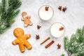 Celebrate new year winter evening with eggnog drink in glasses. ginger bread cookie, spruce branch and cinnamon . Stone