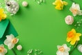 From above, admire exquisite flowers and decorations on green isolated backdrop, ideal for text or advertising Royalty Free Stock Photo