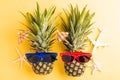 Two pineapples in sunglasses with model plane and starfish Royalty Free Stock Photo