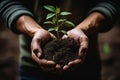 Celebrating arbor day. Growing seedlings in hands to support earth day environment and arboriculture