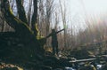 Celebrating Freedom happy woman feeling alive and free arms raised up to sky,positive girl in a river in the forest Royalty Free Stock Photo