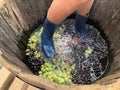 Spin wine, harvest & grape festival. Armenia