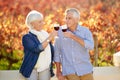 Celebrating many years of marriage. a senior couple toasting on a wine farm.