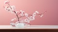 Celebrating nature's ephemeral beauty: the enchanting allure of cherry blossoms in spring, a symphony of pink blooms