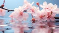 Celebrating nature's ephemeral beauty: the enchanting allure of cherry blossoms in spring, a symphony of pink blooms