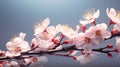 Celebrating nature's ephemeral beauty: the enchanting allure of cherry blossoms in spring, a symphony of pink blooms