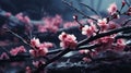 Celebrating nature's ephemeral beauty: the enchanting allure of cherry blossoms in spring, a symphony of pink blooms