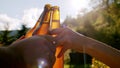 Celebration beer cheers concept, hands holding up bottles of beer of people group in outdoor party vacation in mountain