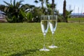 Celebration of championship with glasses of champagne bubbles wine on green lawn of golf club