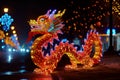 Celebration of the Chinese New Year in the night city - Lumining dragon