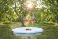 Celebration concept. Two glasses of pink wine and cherries on the white vintage table in the blooming summer garden on sunny day Royalty Free Stock Photo