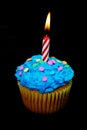 Celebration Cupcake with Candle