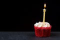 Celebration cupcake with white icing and yellow star candle against black background Royalty Free Stock Photo