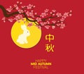 Celebration elements, mid autumn festival. Translation: Mid Autumn