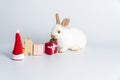 Celebration holiday, Christmas, new year, easter animal concept. Lovely small white rabbit bunny with santa hat, gift box, wood Royalty Free Stock Photo