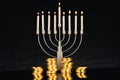 Menorah, candles and coins Royalty Free Stock Photo