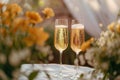 Celebration moment Champagne glasses clink at the wedding ceremony