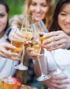 Celebration. People holding glasses of champagne making a toast Royalty Free Stock Photo