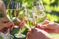 Celebration. People holding glasses of white wine making a toast Royalty Free Stock Photo