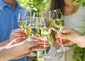 Celebration. People holding glasses of white wine making a toast Royalty Free Stock Photo