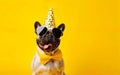 Celebration poster. Cute dog in party hat and sunglasses over yellow background. AI Generative Royalty Free Stock Photo