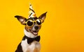 Celebration poster. Cute dog in party hat and sunglasses on yellow background. AI Generative Royalty Free Stock Photo