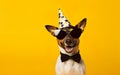 Celebration poster. Cute dog in party hat and sunglasses over yellow background. AI Generative Royalty Free Stock Photo