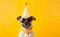 Celebration poster. Cute dog in party hat and sunglasses over yellow background. AI Generative Royalty Free Stock Photo