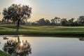 Celebration`s golf courses in Florida