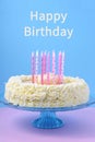 Celebration showstopper white chocolate mudcake Royalty Free Stock Photo