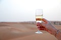 Celebration toast with champagne Royalty Free Stock Photo