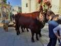 celebrations in honor of San Gregorio 1 Royalty Free Stock Photo