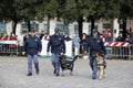 Celebrations for the 167th anniversary of the Italian Police, with stands and demonstrations in the square