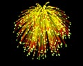 Celebratory firework Royalty Free Stock Photo