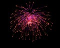 Celebratory firework Royalty Free Stock Photo