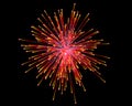 Celebratory firework Royalty Free Stock Photo