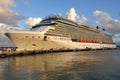 Celebrity Reflection