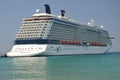 Celebrity Reflection