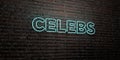 CELEBS -Realistic Neon Sign on Brick Wall background - 3D rendered royalty free stock image Royalty Free Stock Photo