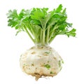 Celeriac, clipping path isolate Royalty Free Stock Photo