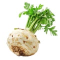 Celeriac, clipping path isolate on transparency Royalty Free Stock Photo