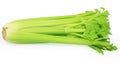 Celery Royalty Free Stock Photo