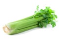 Celery Royalty Free Stock Photo