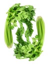Celery Royalty Free Stock Photo