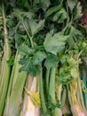 Celery is a biennial herbaceous species belonging to the Apiaceae family, native to the Mediterranean area and known as a medicina