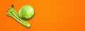 Celery branch bunch and green cabbage isolated on orange banner